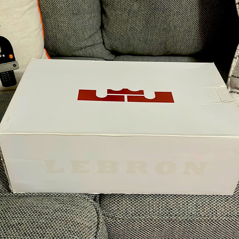 Lebron James Nike size 11.5